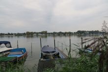 IMG 5542